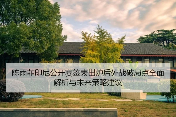chen-yu-fei-yin-ni-gong-kai-sai-qian-biao-chu-lu-hou-wai-zhan-po-ju-dian-quan-mian-jie-xi-yu-wei-lai-ce-lve-jian-yi-2-326.jpg